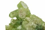 Lustrous Vesuvianite Crystal Cluster - Jeffrey Mine, Canada #284509-1